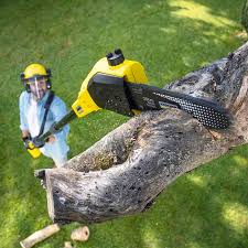 Best Pest Control for Lawns  in USA